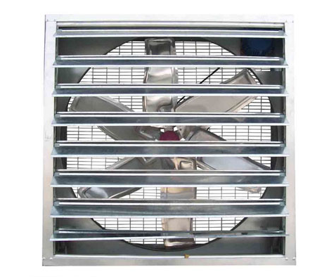 怎样确保蛋鸡装备有用透风？