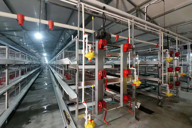 肉鸡装备喂料机为什么会梗塞？？？