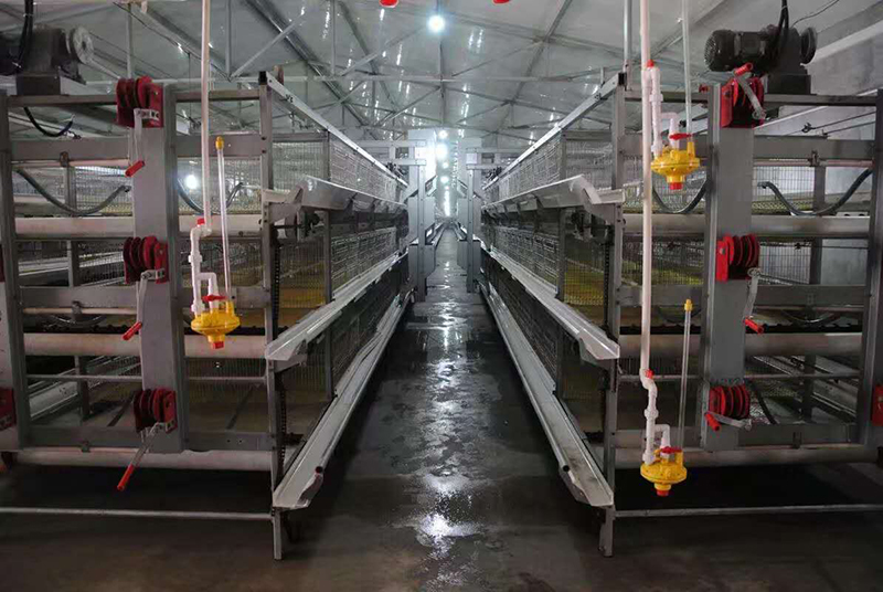 你知道肉鸡装备加料机的组成吗？？