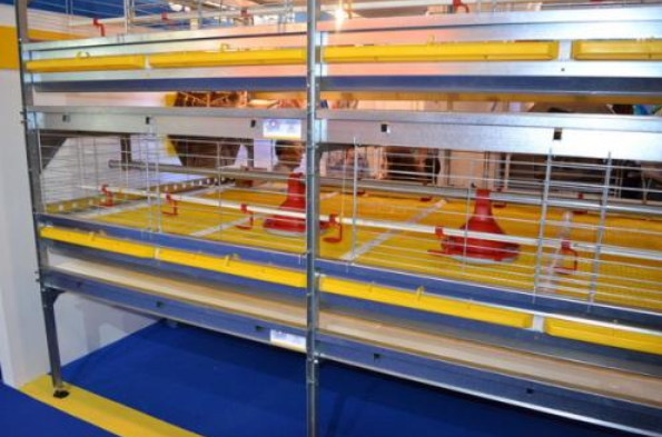 怎样给肉鸡装备风机镌汰噪音吗？？？