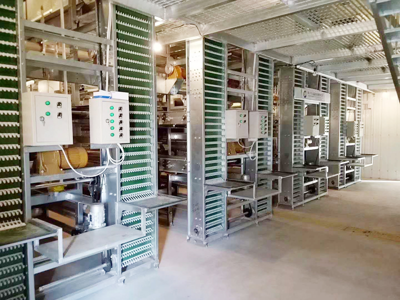 蛋鸡装备的养殖密度是怎样的呢？