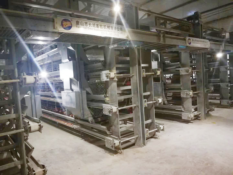 蛋鸡装备该怎样举行使用呢？？