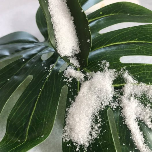 Agricultural-Grade-SAP-12 ºèÔ˹ú¼Ê¡¤(Öйú)×îйٷ½ÍøÕ¾